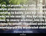 Las skąpany w słońcu. Cytat: "Aby być sobą, trzeba być kimś, to znaczy wiedzieć, kim się jest. A jak możemy to ustalić, zagubieni wśród ciągle zmieniających się wyobrażeń siebie?" Wiesław Myśliwski. Wiem że nic nie wiem.