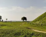 Idealne miejsce, gdzie na spacer w Krakowie. Zielone wzgórza, samotne drzewo i panorama miasta w oddali.
