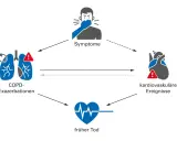 Diagramm zeigt, wie COPD-Exazerbationen zu Symptomen, kardiovaskulären Ereignissen und frühem Tod führen können.