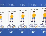 Tabela rozmiarów rowerów dla dzieci: wiek, wzrost i średnica koła. Dobierz odpowiednią ramę L dla swojego dziecka.