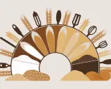 Illustration d'une roue de la vie culinaire, montrant différentes variétés de farine de froment, dont la farine de froment gluten, et des ustensiles de cuisine.