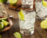 Erfrischender Gin Tonic mit Eis und Limettenspalten. So trinkt man Gin am besten: pur, mit Tonic und frischer Limette.