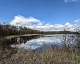 Spokojne jezioro Dzierżno Duże odbija błękitne niebo z chmurami. Brzeg porośnięty suchą trawą i drzewami.