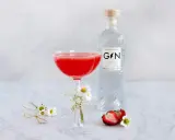 En röd drink i ett coupeglas, bredvid en flaska gin från Gotlands Ginfabrik. Jordgubbar och små blommor dekorerar bordet.