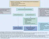 Algorytm postępowania w nefropatii IgA, gdy białkomocz >1 g/d. Jak poprawić przesączanie kłębuszkowe? Rozważ włączenie do badania klinicznego.