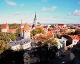 Widok na zabytkowe wieże i czerwone dachy Starego Miasta w Tallinnie. Idealne miejsce, by odkryć, co w Tallinnie warto zobaczyć.