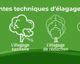 Quatre illustrations montrent différentes techniques pour élaguer un arbre : formation, sanitaire, réduction et entretien.