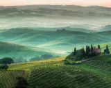 Un incantevole **punto panoramico Val d'Orcia** con dolci colline verdi, un casale in cima a una collina e filari di cipressi.