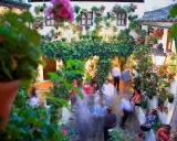 Blühende patios in Córdoba, mit Menschen, die durch den üppig begrünten Innenhof schlendern.