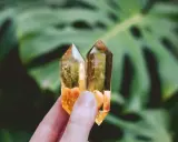 Due cristalli di quarzo giallo, luminosi e trasparenti, tenuti tra le dita, con foglie verdi sfocate sullo sfondo.