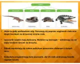 Żółw: Gad czy płaz? Poznaj 4 kluczowe różnice!