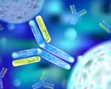 Błękitne przeciwciała atakują bakterie Helicobacter. To wizualizacja antybiotyku na helicobacter.