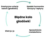 Błędne koło głodówki: drastyczne ucięcie kalorii, spadek hormonów, spowolnienie metabolizmu, efekt jo-jo.