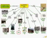 Mappa concettuale su scrittori neorealisti e opere, tra cui "Il giorno della civetta" e "Il sergente nella neve".