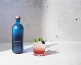 En blå flaska Skagerrak Nordic Dry Gin bredvid en läcker bramble drink med björnbär och mynta.