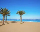 Palmen säumen den Sandstrand von Denia an der Costa Blanca. Das türkisfarbene Meer lädt zum Träumen ein.