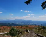 Widok na malownicze **beskidy szczyty** w słoneczny dzień. Na pierwszym planie trawa, pnie drzew i krzewy. W oddali widać kolejne pasma górskie.