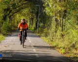 En person cyklar på en asfalterad cykelväg kantad av träd i höstfärger. En härlig cykeltur i Åkersberga.