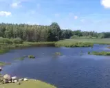 Spokojne łowisko Stojkowo otoczone lasem, z łódką przy brzegu i kamieniami.