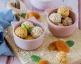 Zwei rosa Schalen gefüllt mit leckeren Energy Balls, bestreut mit Kokosraspeln und Haferflocken. Getrocknete Aprikosen und Minzblätter liegen daneben.