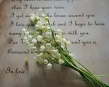 Mughetto su pergamena con parole d'amore, che ricordano le più belle poesie famose.