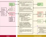 Schemat opisuje ścieżki absolwentów po maturze 2026, uwzględniając zdane i niezadane egzaminy oraz poprawki.