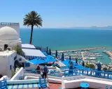 La Goulette, Tunisia: cosa vedere? Un panorama mozzafiato con il porto turistico, il mare azzurro e le case bianche con cupole e palme.