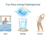 Sen, woda i ruch to klucz do produktywności. Ilustracja pokazuje śpiącą osobę, szklankę wody i ćwiczącego człowieka.