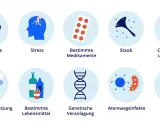 Auslöser für den Zustand bei Asthma: Haustiere, Stress, Medikamente, Staub, Chemikalien, Luftverschmutzung, Lebensmittel, genetische Veranlagung, Infekte, Rauchen.