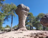 Majestuoso hongo de roca en el bosque encantado de Cuenca, rodeado de pinos y bajo un cielo azul intenso.