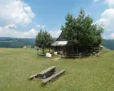 Drewniana bacówka u Wojtka na zielonym wzgórzu, otoczona drzewami i górami.
