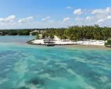 Rajska plaża z palmami i turkusową wodą. Czy Mauritius, warto? Zdecydowanie tak!