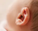 Delikatne ucho niemowlęcia, które może być dotknięte zapaleniem ucha zewnętrznego.