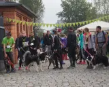 Grupa ludzi z psami przed startem biegu dog trekking.