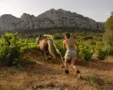 Une femme labourant un vignoble avec un cheval, sous un ciel clair et des montagnes rocheuses.