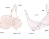 Ilustracja pokazuje budowę stanika, pomagając zrozumieć, jak dobrać stanik idealnie dopasowany do Twoich potrzeb.