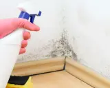 Mano con guante rosa rociando producto sobre moho en pared. Aprende como bajar la humedad en casa y eliminar manchas.