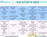 BLW co to? Tygodnie 7 i 8: propozycje posiłków dla niemowląt, np. omlet z jabłkiem, zupa krem z groszku, placki bananowe.