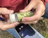 Händer öppnar en kamouflerad behållare, redo för geocaching i Sverige. En mobiltelefon ligger redo att dokumentera fyndet.