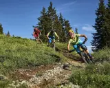 Tre cyklister njuter av att cykla i skogen på en solig dag.