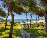 Holzweg führt zu einem sonnigen Strand in Pera, Portugal. Pinienbäume säumen den Weg zum türkisfarbenen Meer.