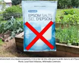 Sac de sel d'Epsom barré d'une croix rouge. Le texte indique que le sel d'Epsom n'est pas utile pour le jardin, contredisant la croyance populaire. Attention aux sels d'Epsom danger pour votre jardin.