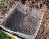 Un carré de grillage protège le potager des mulots.