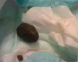 Babywindel mit hartem Stuhlgang in Form von Kugeln.
