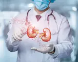 Lekarz w masce i rękawiczkach prezentuje model nerek, sugerując diagnostykę problemów, takich jak krew w moczu co oznacza.