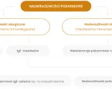 Schemat rozróżnia nadwrażliwość pokarmową: alergiczną (IgE-zależną i niezależną) oraz niealergiczną.