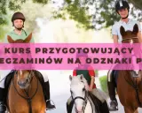 Odznaka Jeżdżę Konno PZJ: Zdać egzamin? Mój poradnik.