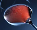 Ein Glas Roséwein mit Kondenswasser. Die ideale trinktemperatur für Primitivo ist erreicht.
