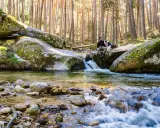 Hombre y perro descansan junto a un arroyo en el bosque. El agua fluye sobre rocas, creando un efecto de boca del asno baño natural.
