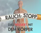 Rauch-Stopp: Ein zerbrochenes Zigarettenstück mit der Aufschrift "Rauch-Stopp" liegt vor einer transparenten menschlichen Anatomie. Darunter steht "Das passiert mit dem Körper".